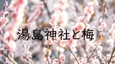 湯島天神 梅まつりで満開の梅を見てきた話 見頃や開花状況、アクセスについて