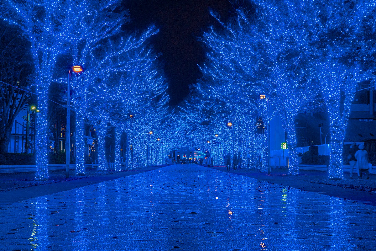 渋谷,青の洞窟,イルミネーション