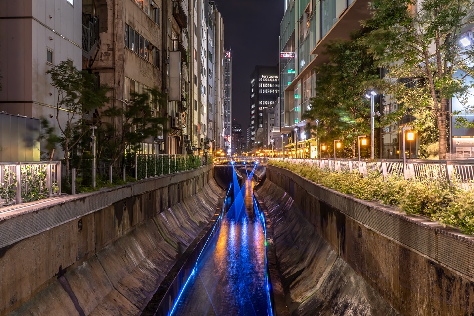 渋谷,川,イルミネーション