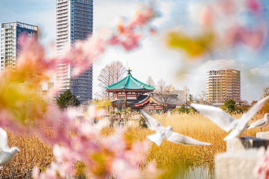 桜,鳥,上野,前ボケ