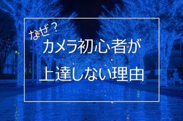 【カメラ初心者向け】写真が上達しない理由と写真上達のコツとは