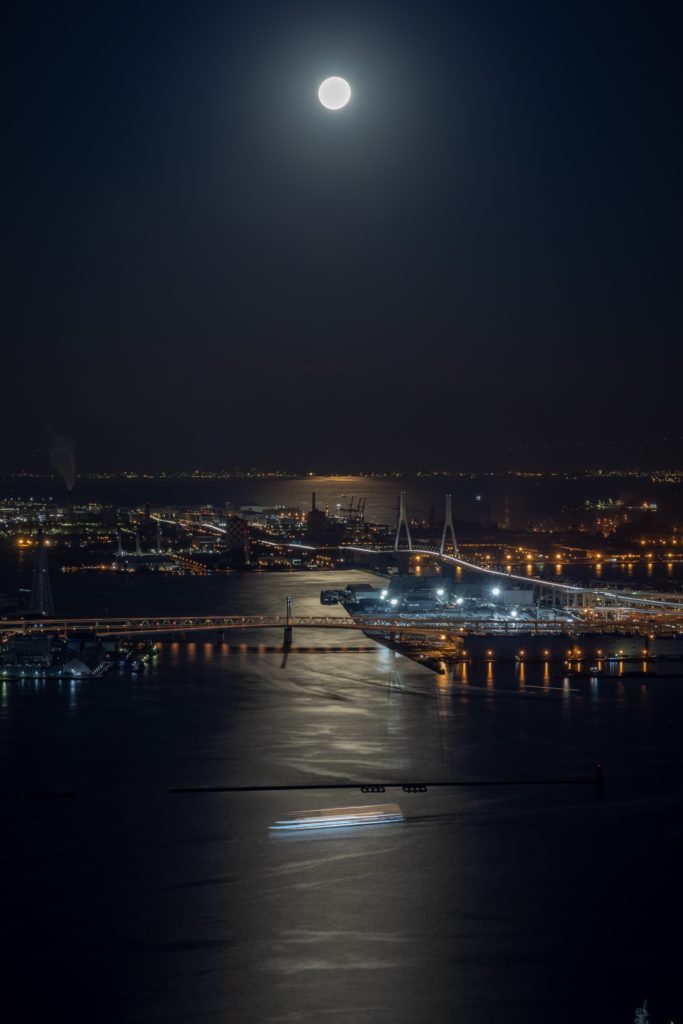 横浜ランドマークタワー,スカイガーデン,夜景,船