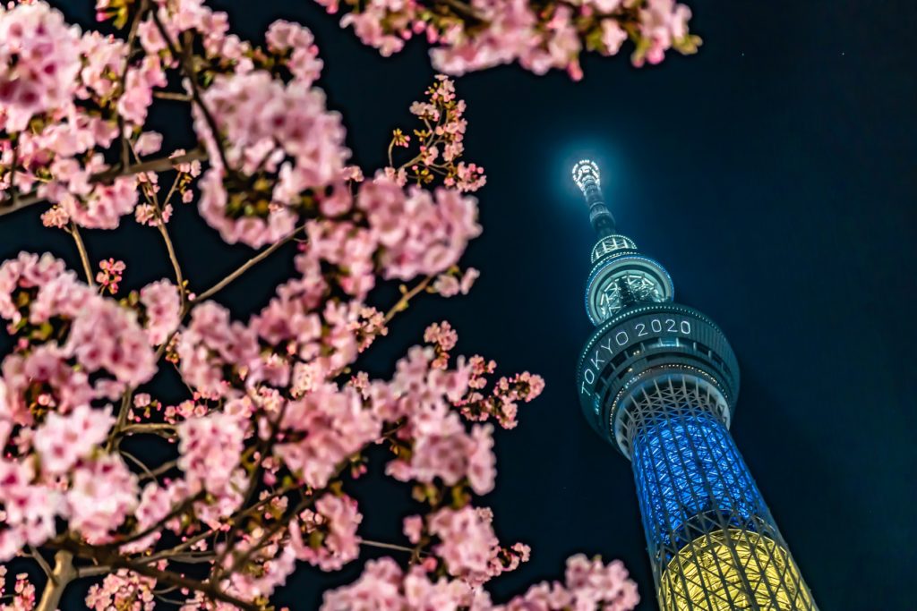 スカイツリー,東京スカイツリー,桜,前ボケ