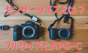 センサーサイズとは？フルサイズとAPS-Cを比較して解説します！