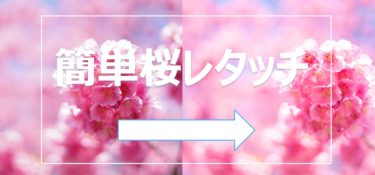 誰でも簡単に無料でできる桜の華やかな写真編集(レタッチ)解説