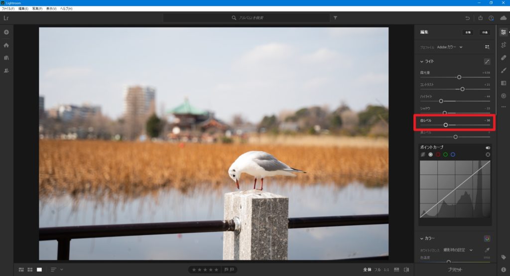 lightroom,編集,やり方,加工,写真,白レベル