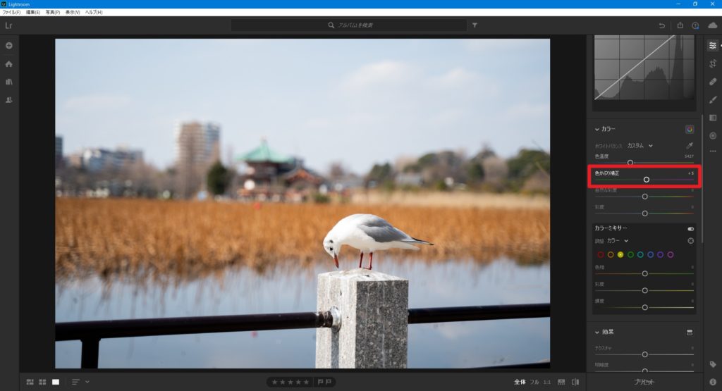 lightroom,編集,やり方,加工,写真,色かぶり補正