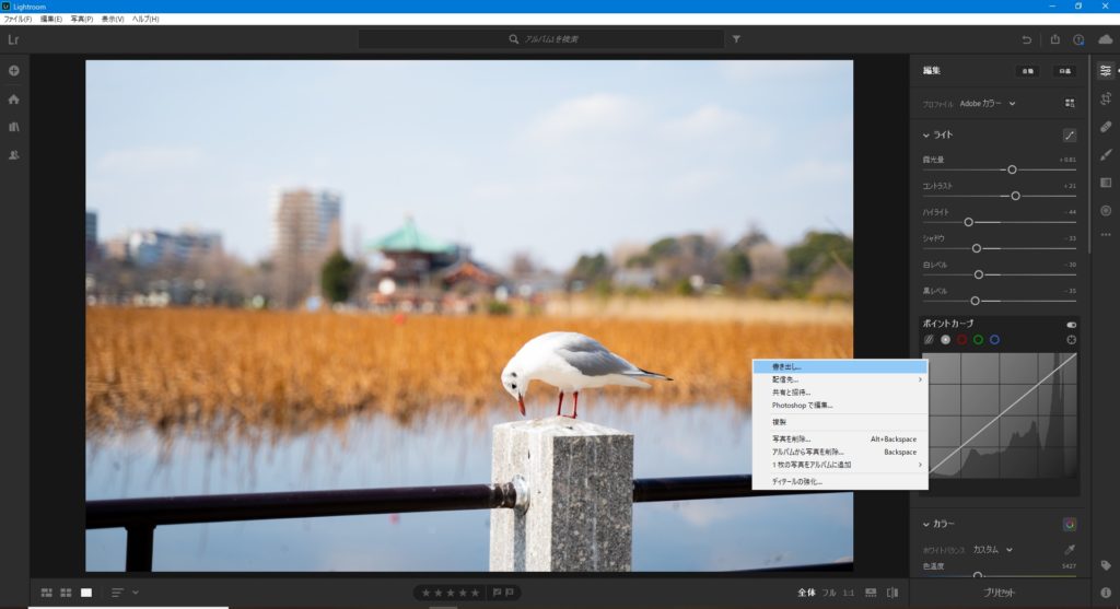 lightroom,編集,やり方,加工,写真,書き出し