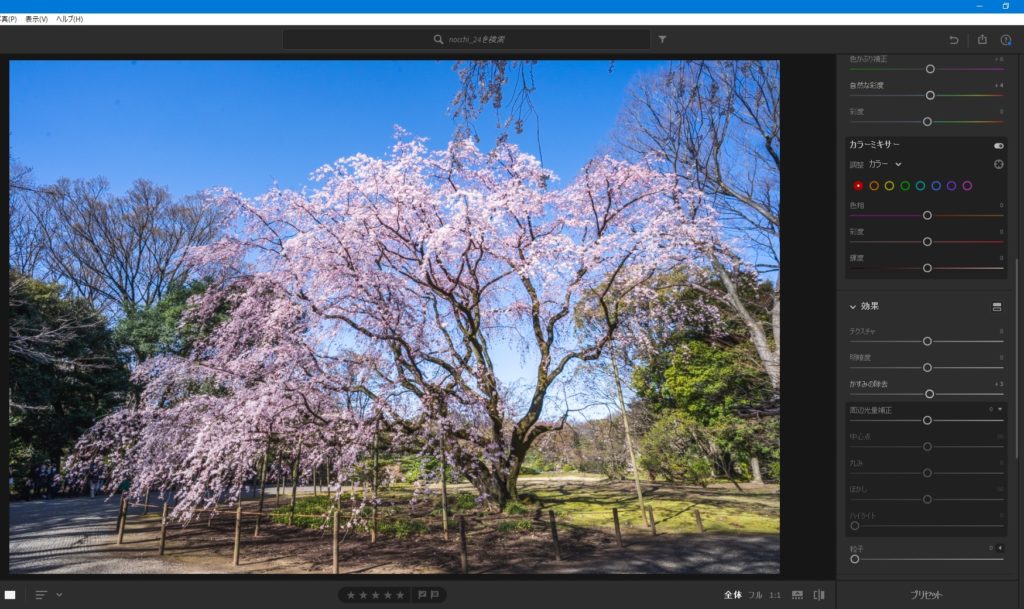 桜,レタッチ,編集,RAW現像,加工