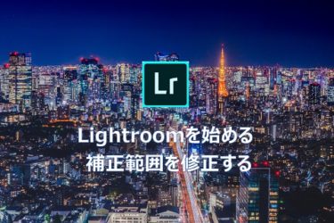 【Lightroom】写真に写ったゴミの消し方 スポット修正で写真を綺麗に見せる