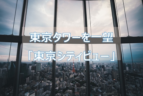 東京タワーを一望 六本木ヒルズ展望台 東京シティビュー Camerife