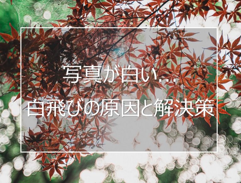 撮った写真が白くなってしまう白飛びとは？ 原因と解決策について 
