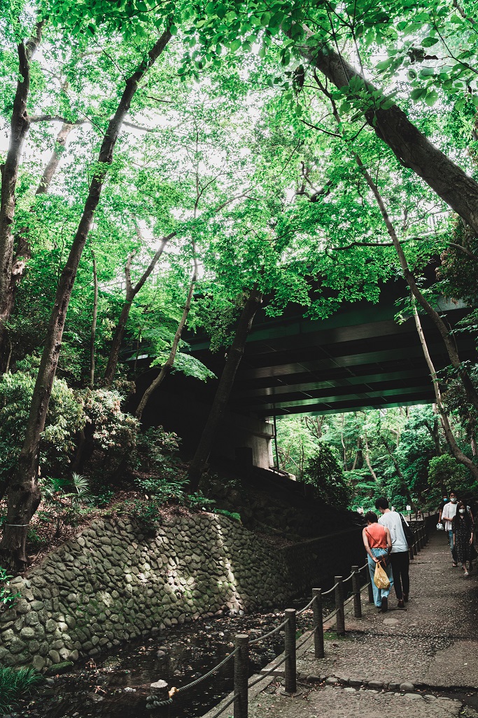 緑,撮影スポット,綺麗