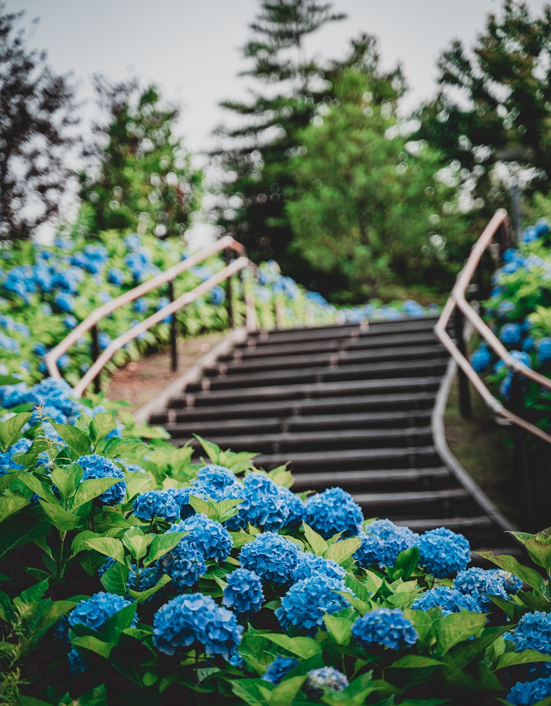 シンボルプロムナード,シンボル,シンボルプロムナード公園