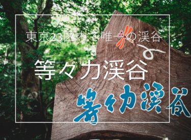 東京23区内で唯一の渓谷！等々力渓谷が最高の撮影スポットだった。