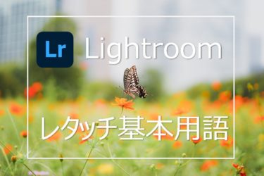 Lightroomで使われるレタッチの基本用語を作例とともに解説