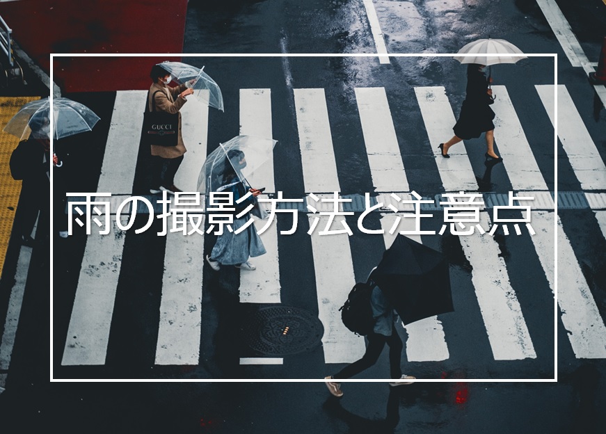 雨の日にこそ写真を撮ろう 雨天時の撮影テクニックと注意点を解説 Camerife 雨の日にこそ写真を撮ろう 雨天時の撮影テクニックと注意点を解説 Camerife