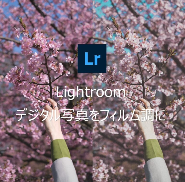Lightroomでデジタル写真をフィルム風に仕上げるレタッチ術 Camerife