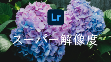 【Lightroom】写真の画質を上げる 「スーパー解像度」 とは 効果と使い方について