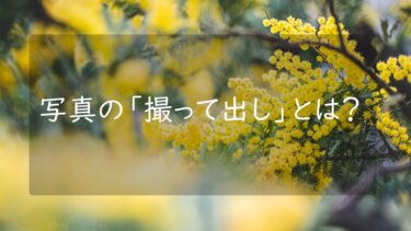 よく耳にする写真の「撮って出し」とは？ JPEG撮って出しとの違いについて