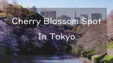 Best 16 Cherry Blossom Photography Spots in Tokyo
