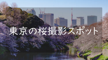 【2022年版】東京の桜撮影スポットまとめ16選 映え写真が撮れる場所を見頃順に紹介