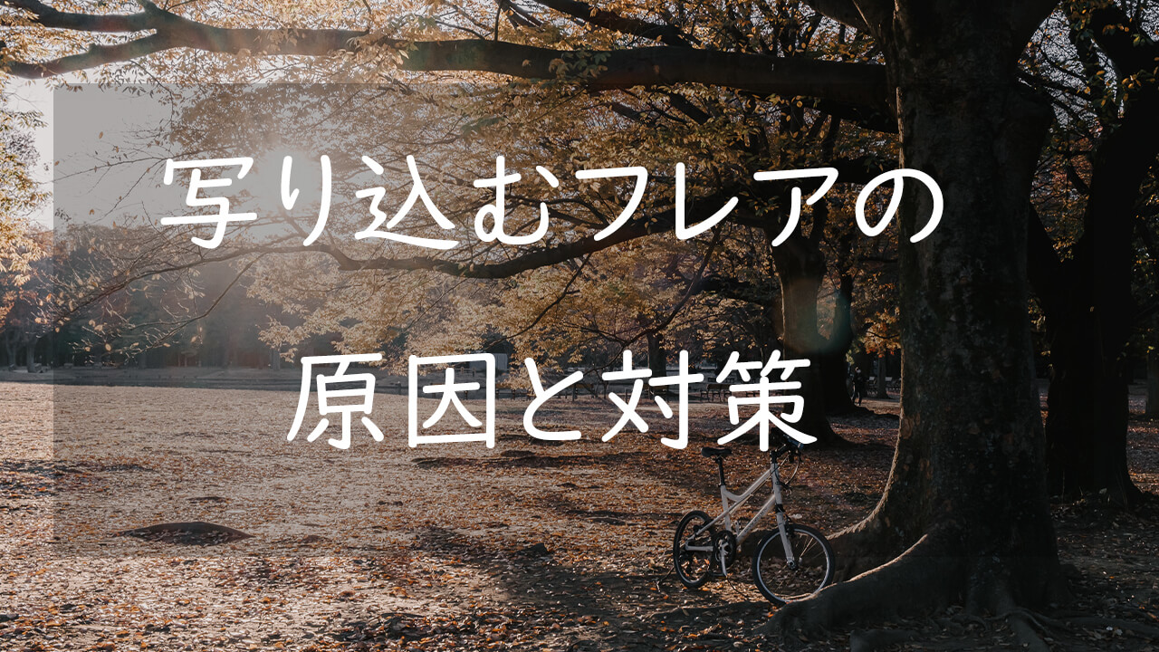 写真に写り込むフレアとは 発生する原因と対策方法について解説 Camerife 写真に写り込むフレアとは 発生する原因と対策方法について解説 Camerife