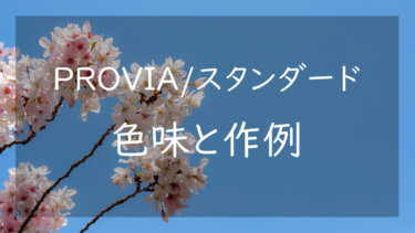 【作例あり】プロビア PROVIA/スタンダードの色味 何でも美しく描くフィルムシミュレーション