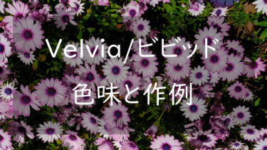 【作例あり】ベルビア Velvia/ビビッドの色味 鮮やかでメリハリのあるイメージカラー