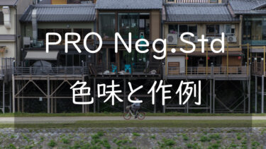 【作例あり】プロネガ・スタンダード PRO Neg.Stdの色味 ニュートラルこそ美しい