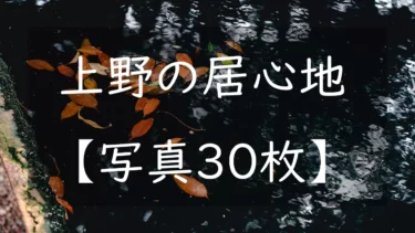 上野の居心地【写真30枚】